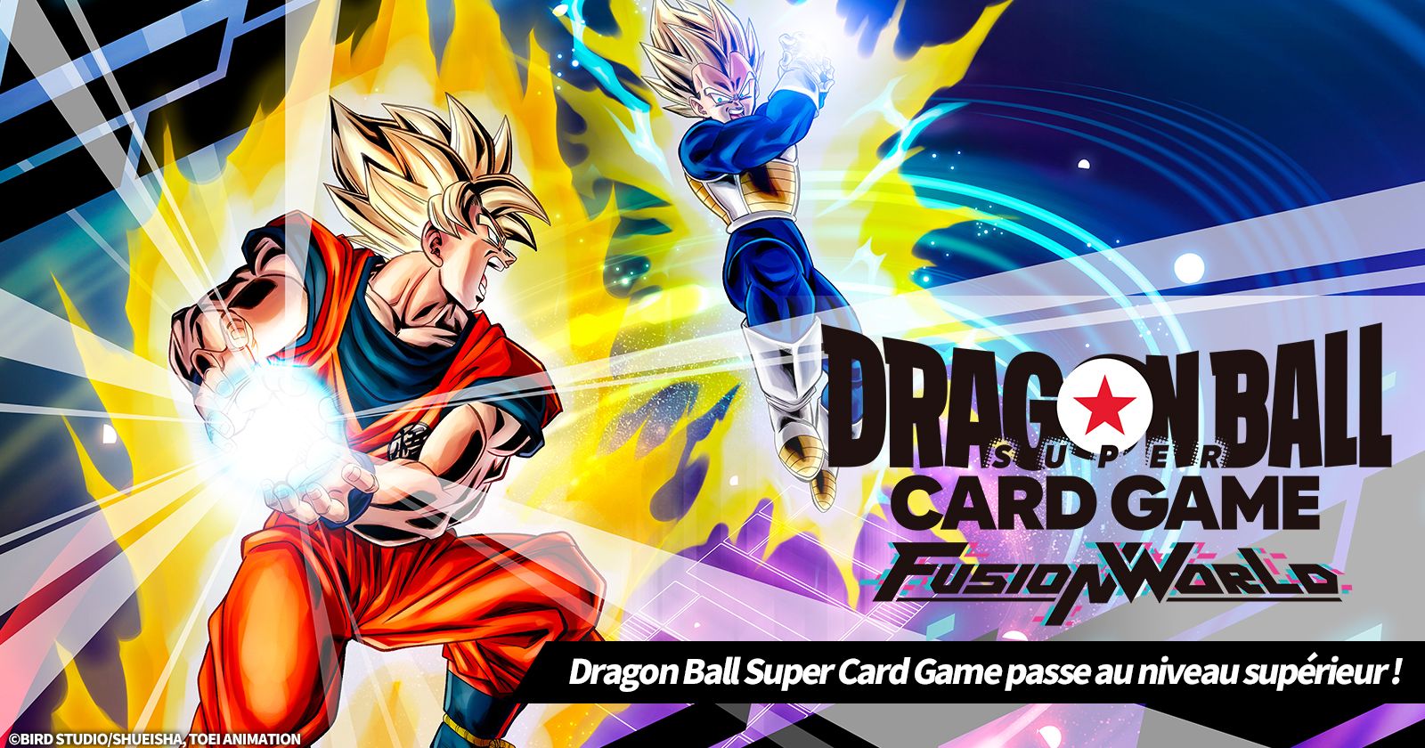 DBSCGFW_EN
