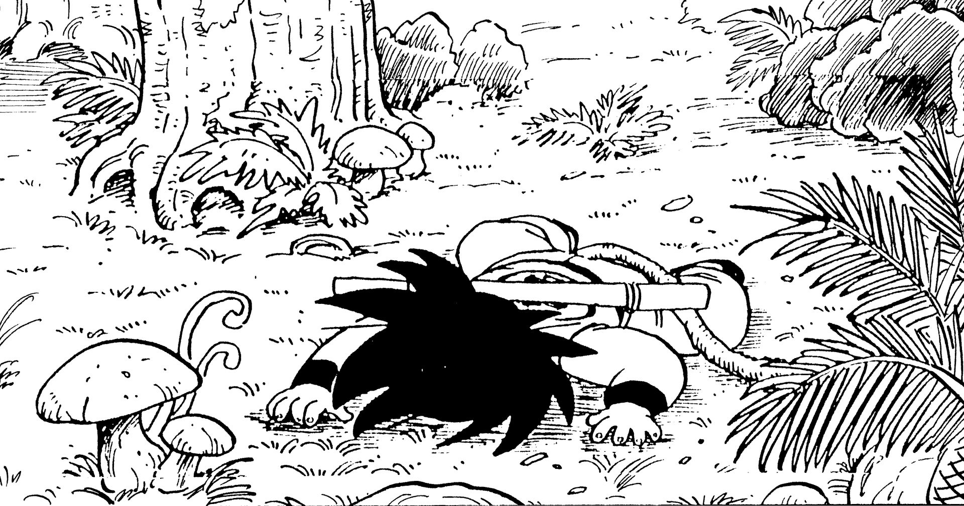 〜 Enquête approfondie sur les origines de Dragon Ball: File #015〜 World Travelogue : Site de la première rencontre de Goku avec Yajirobe