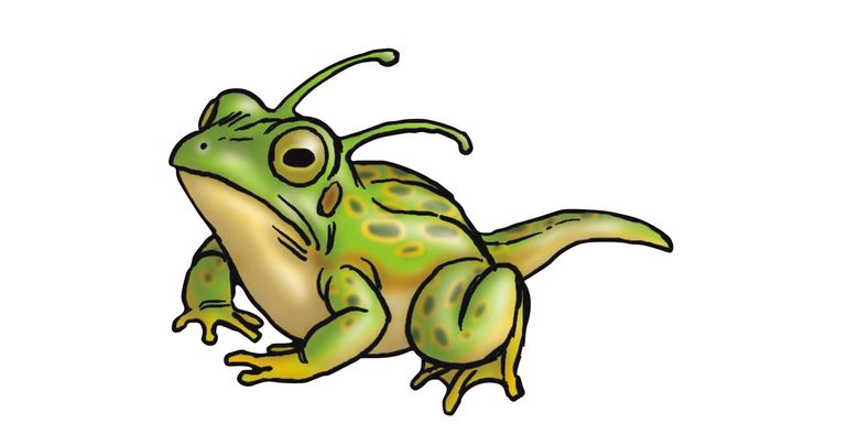 Présentation hebdomadaire ☆ Personnage #264 : Grenouille !